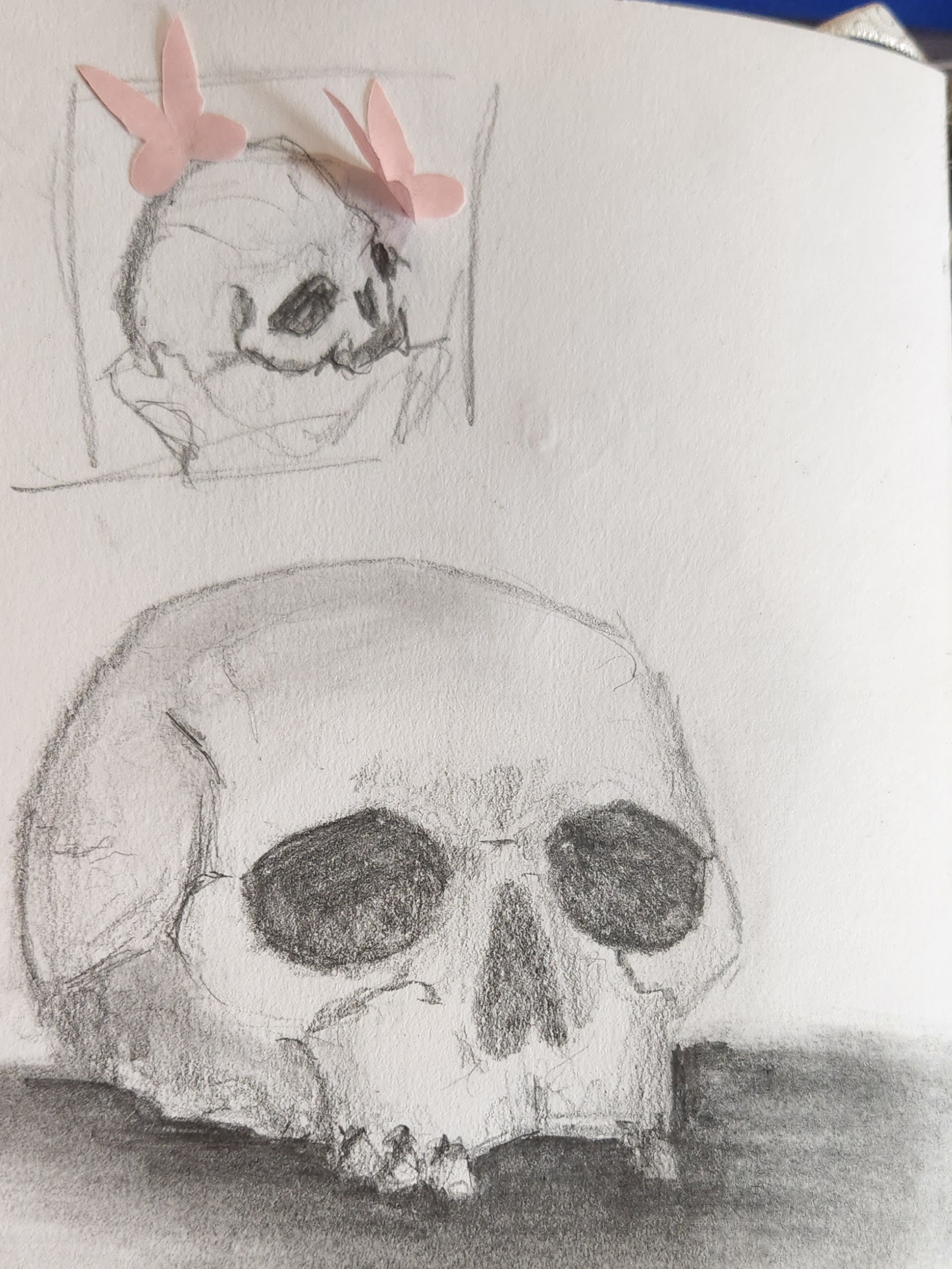 skull sketch
